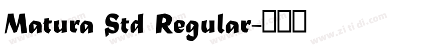 Matura Std Regular字体转换